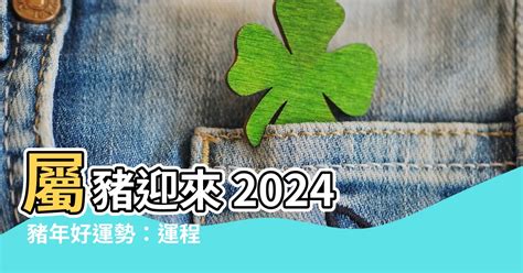 2024 豬 年 運程|屬雞/狗/豬生肖運程2024｜龍年運勢預測＋麥玲玲推介 